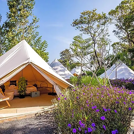 Roost Glamping-2